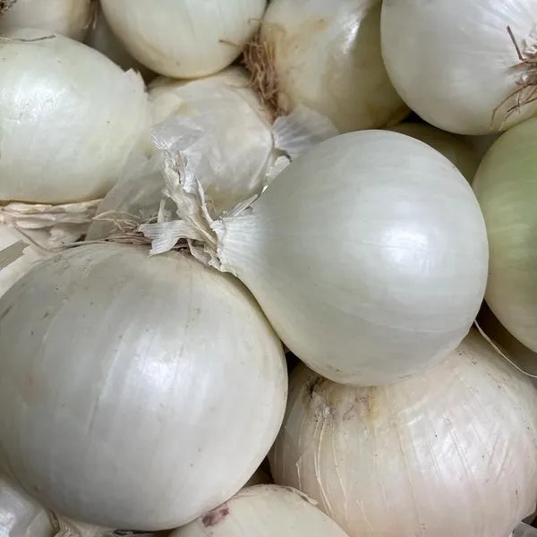 Cipolle Bianche - 500gr