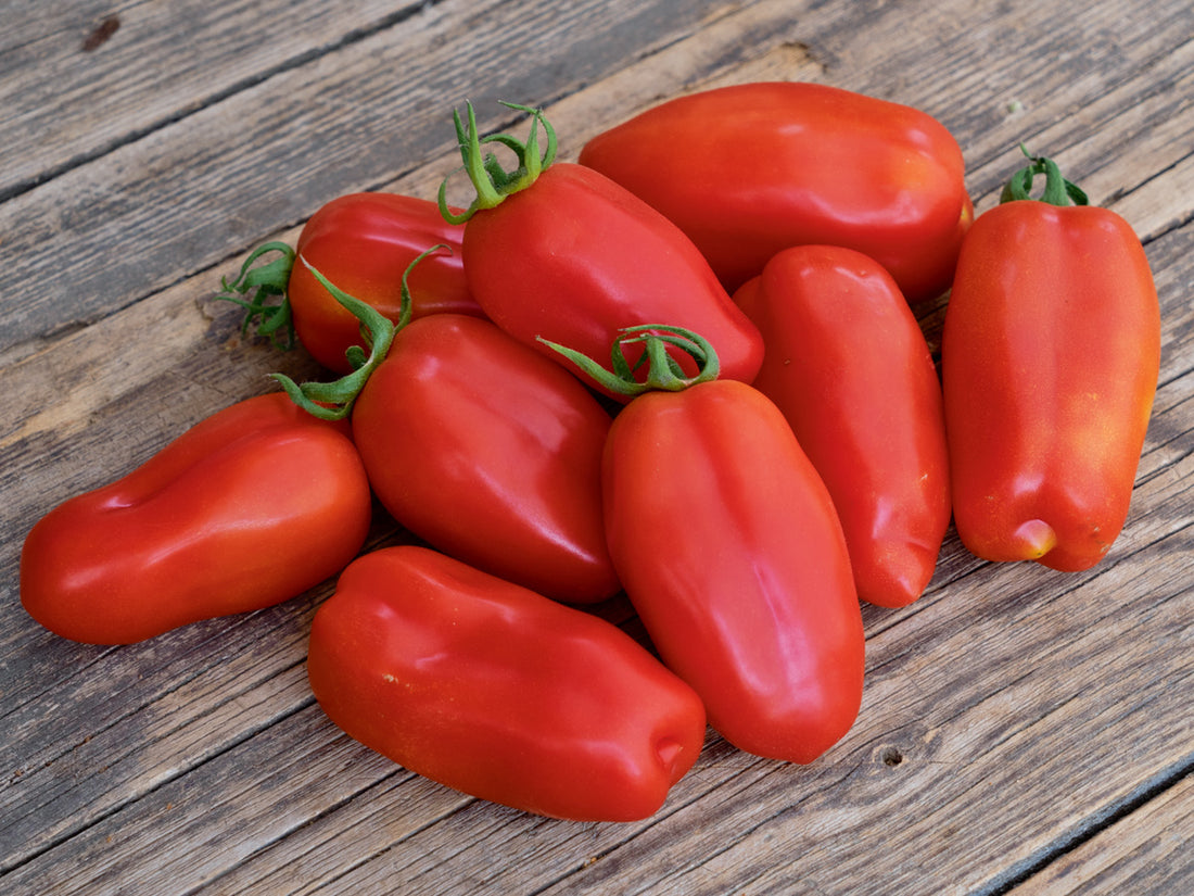 Pomodoro San Marzano 500gr