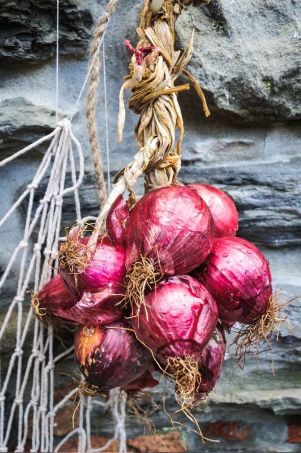 Treccia di cipolle rosse 500gr