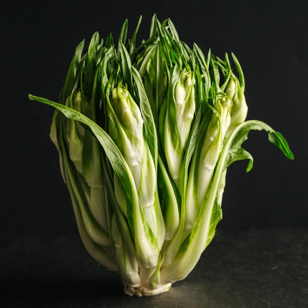 Puntarelle - 500gr