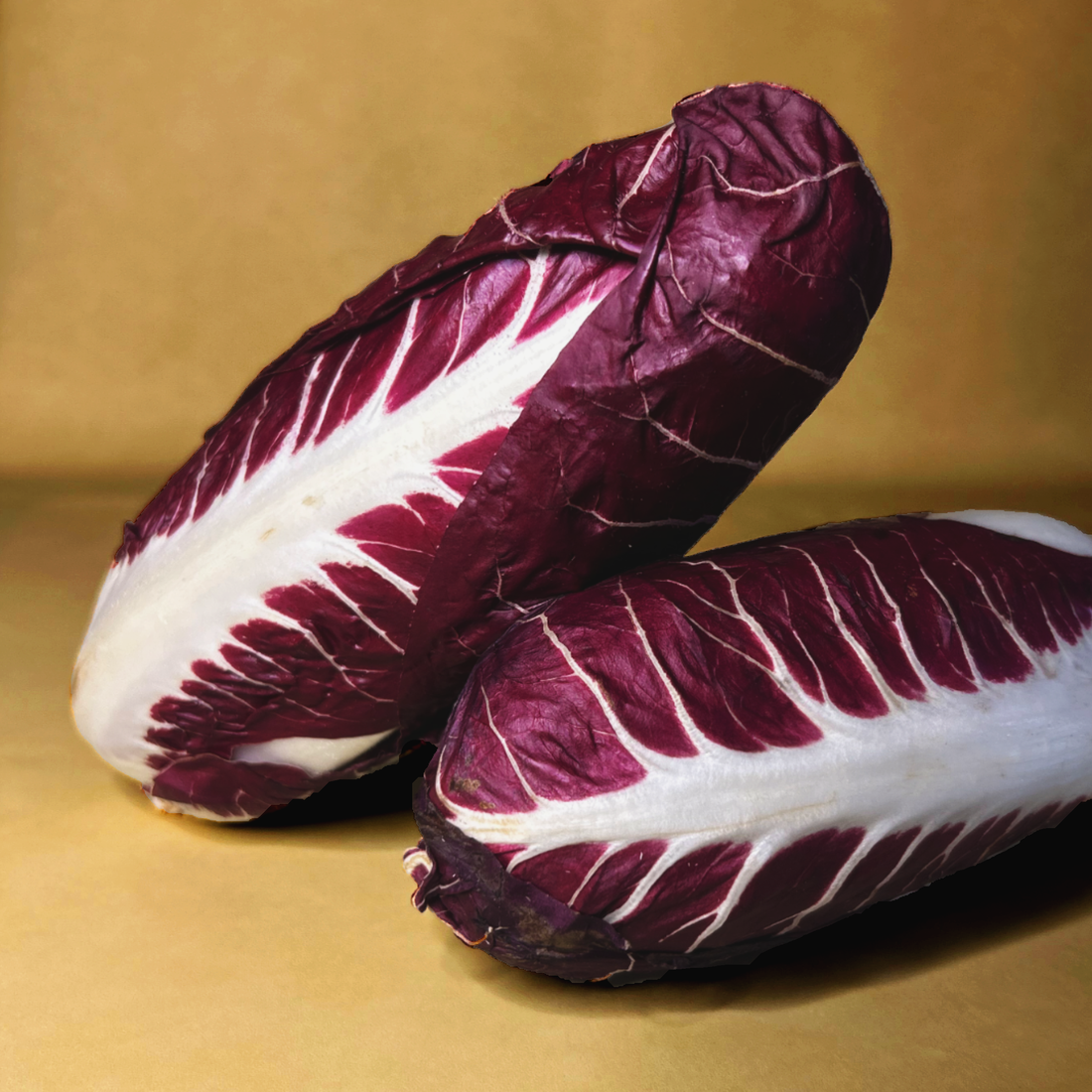 Radicchio lungo 500gr