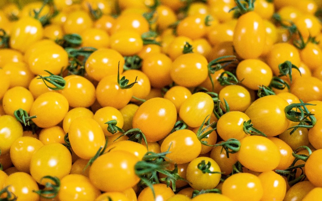 Datterini gialli 500gr