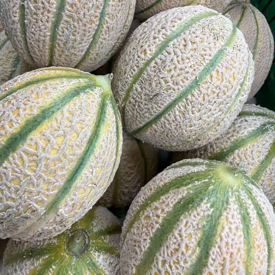 Melone Retato - 1 Pcs