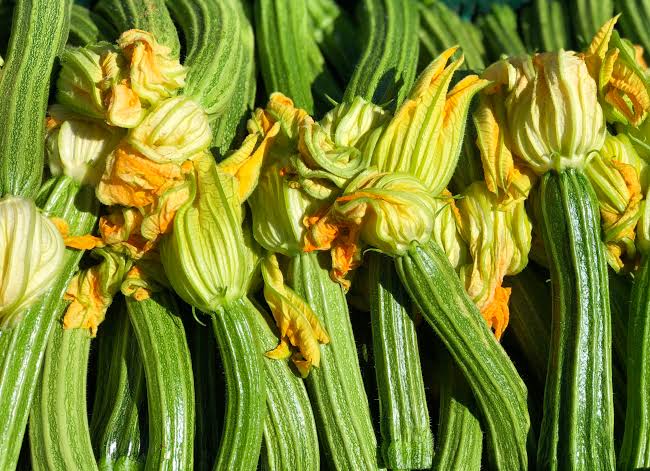 Zucchine Romanesche - 500gr