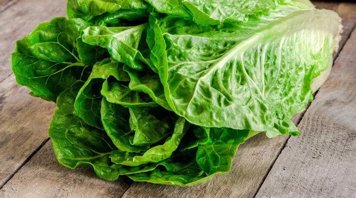 Lattuga Romana 500gr