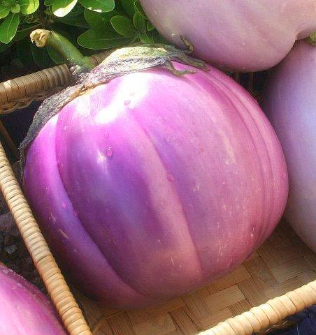 Melanzane violette