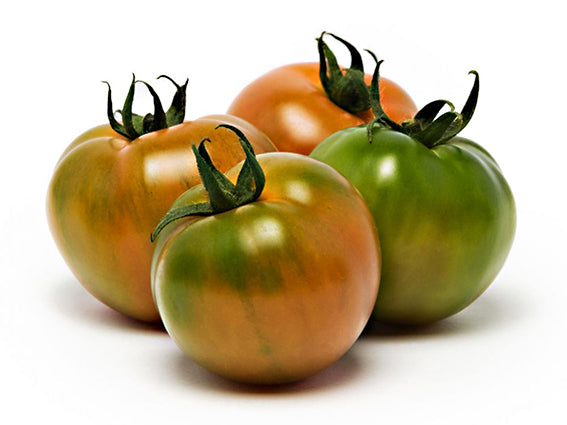 Pomodoro Camone 500gr