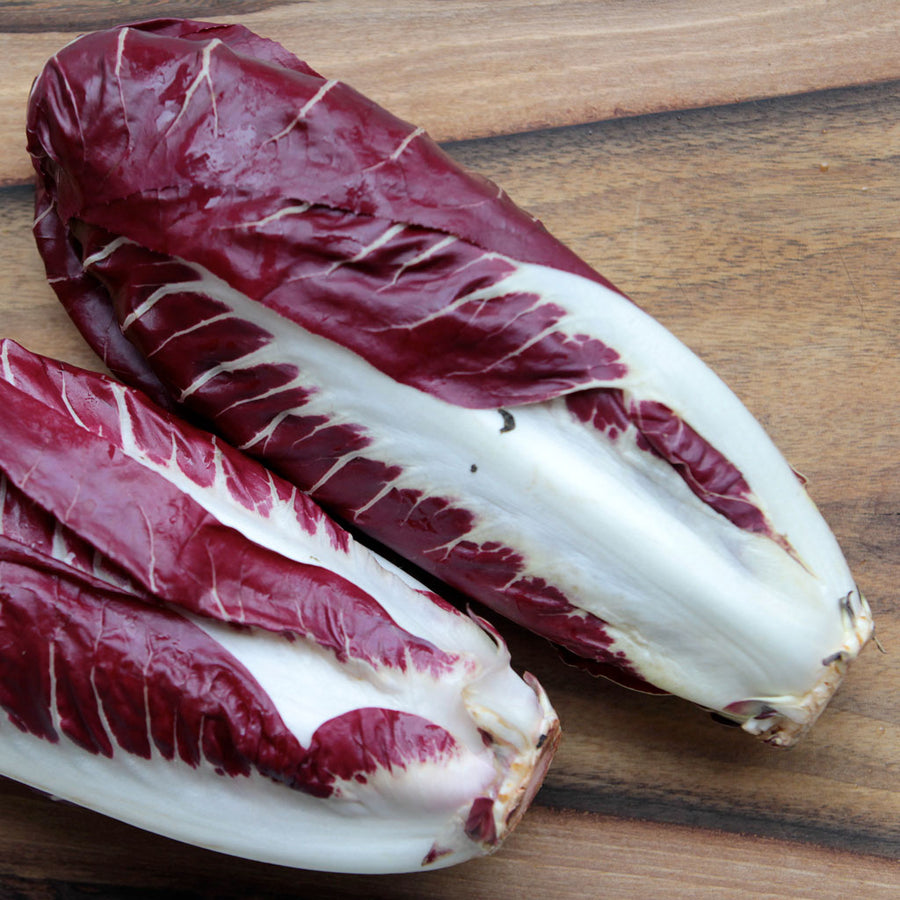 Radicchio lungo 500gr