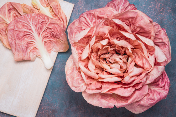 Radicchio Rosa di Verona 500gr