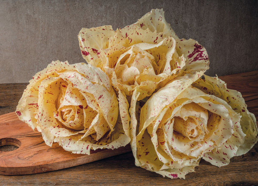 Radicchio Tardivo 500gr