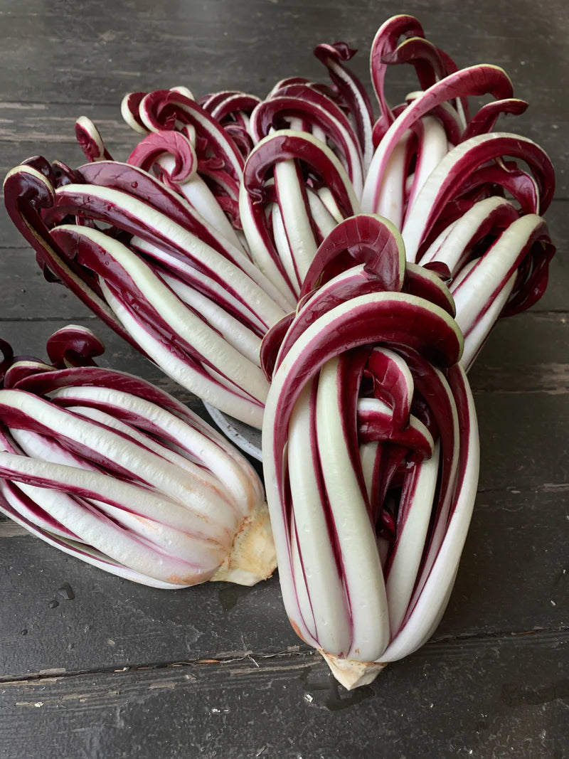 Radicchio Tardivo 500gr